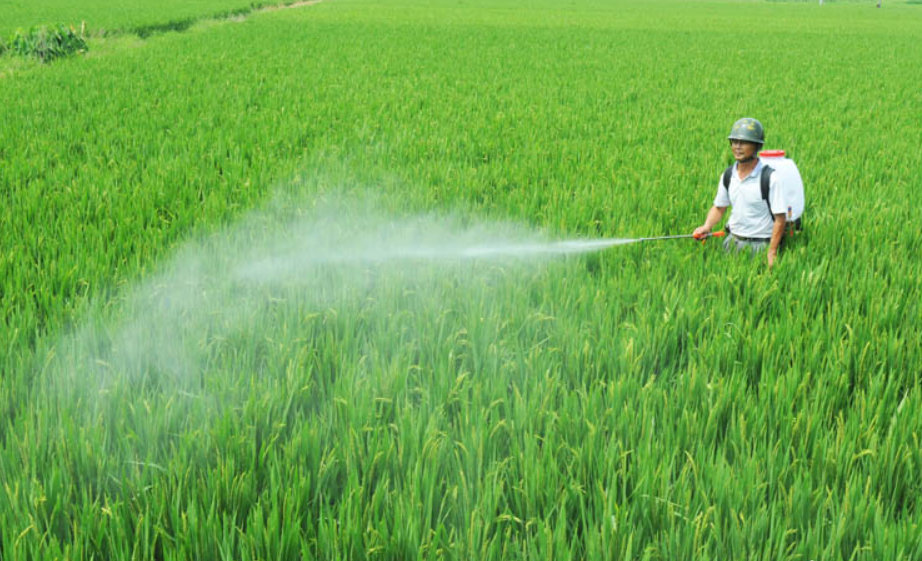 農(nóng)藥，是指農(nóng)業(yè)上用于防治病蟲(chóng)害及調(diào)節(jié)植物生長(zhǎng)的化學(xué)藥劑。